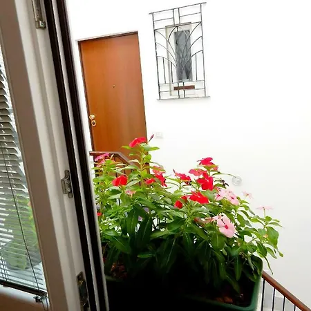 Light And Airy With Bathroom + Breakfast Privat bolig